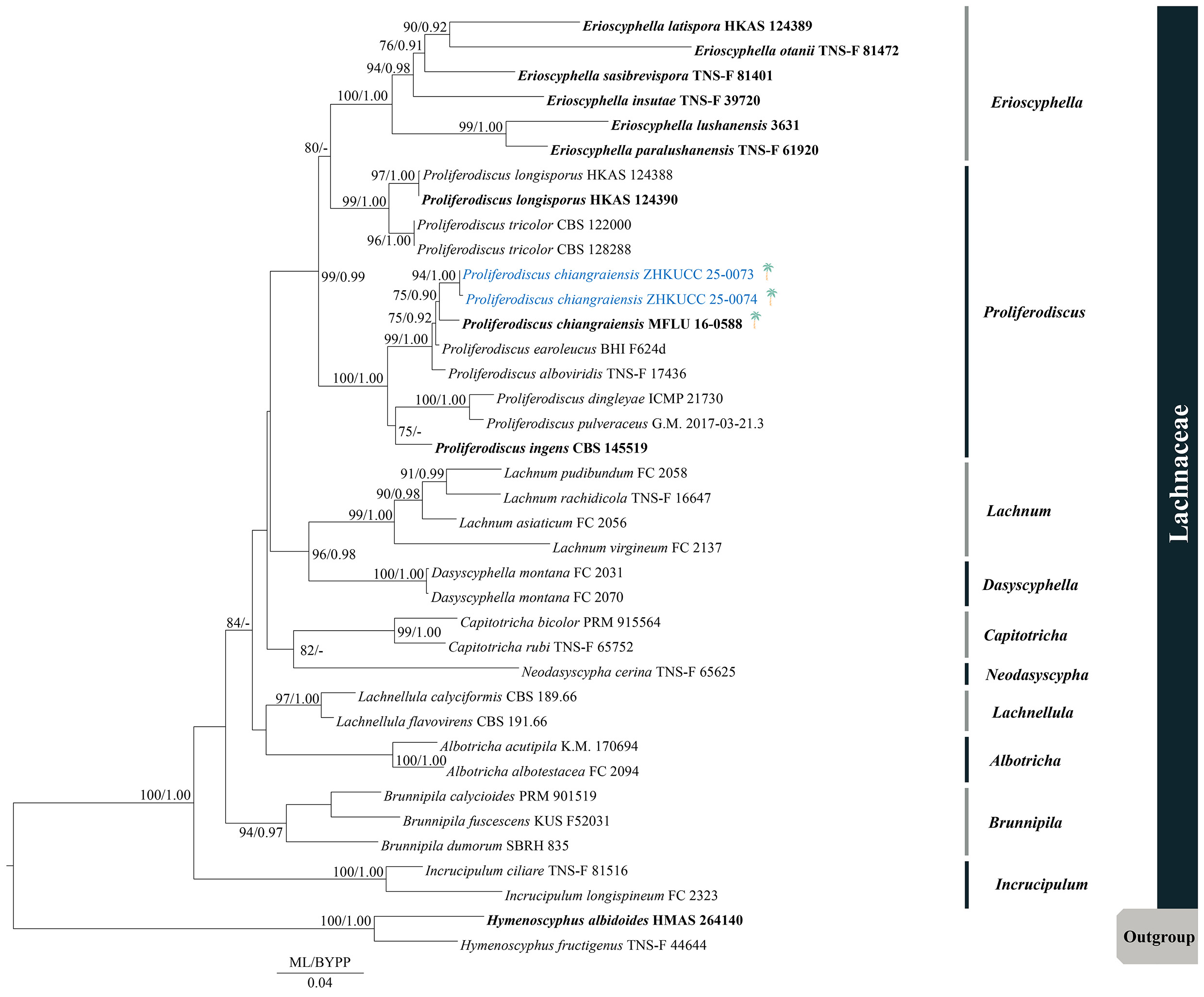 Figure 63